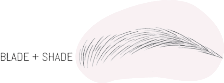 Blade & Shade